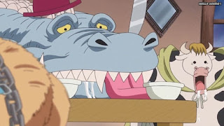 ワンピースアニメ WCI編 814話 貴族ワニ | ONE PIECE Episode 814