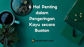 6 Hal Penting dalam Pengeringan Kayu secara Buatan