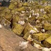 Motorista morre após carreta com galinhas tombar na BA-026