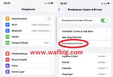 Cara Menyembunyikan Aplikasi Whatsapp Di iPhone