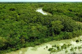 Sundarbans