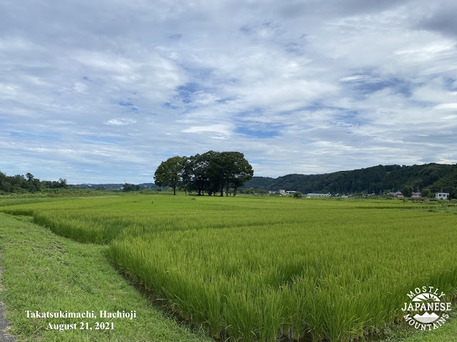 Takatsukimachi, Hachioji 八王子市高月町