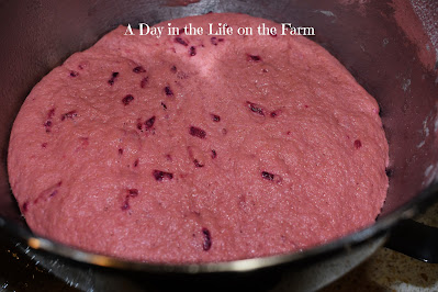 beet bread dough