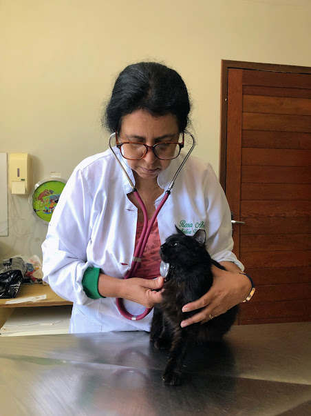 Dra. Rosa Abreu: A Veterinária que Cuida com Paixão e Expertise