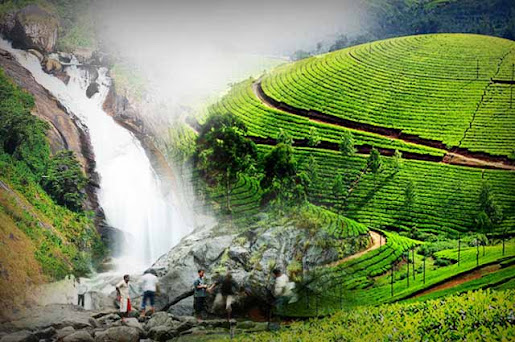 Top 7 Places To Visit in Munnar That Will Blow Your Mind