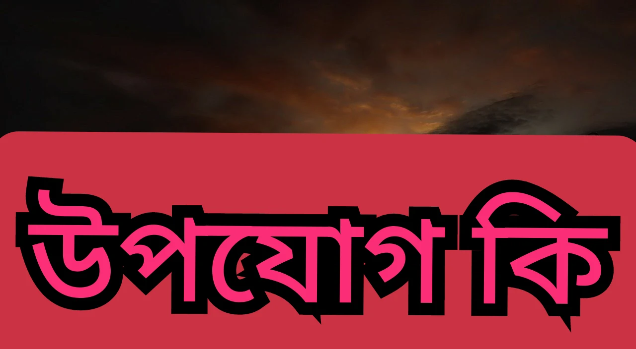 উপযোগ কী এবং এর প্রকারভেদ