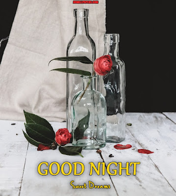 Good Night Images In Rose