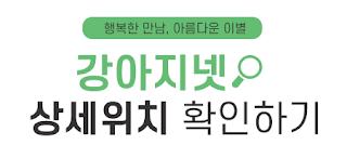 햄스터의 수명 노화 증상을 알아봅시다 12