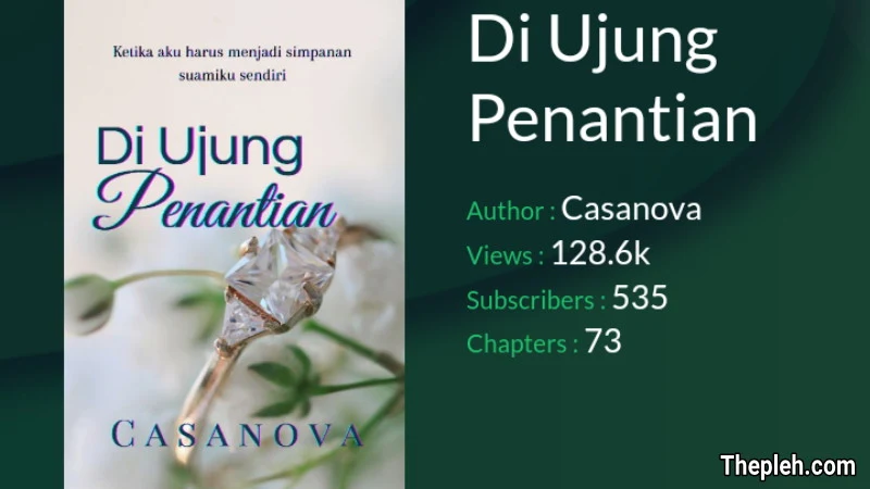 Novel Di Ujung Penantian