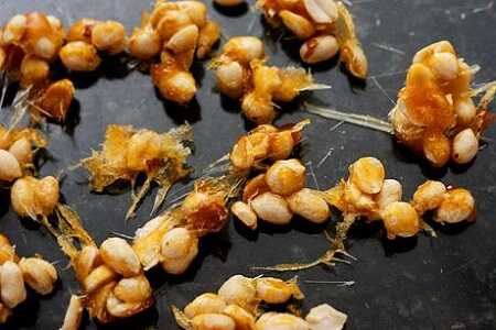 Homemade Candied Nuts in 2 Minutes