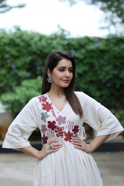 Actress Rashi Khanna Latest Cute Image Gallery 26