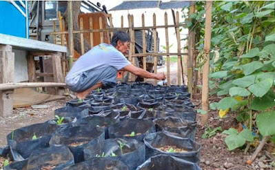 giat warga cileunyi bangun kebun bantu ketahanan masyarakat