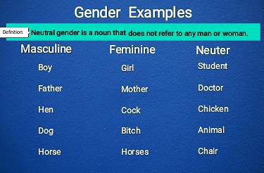 Neuter gender examples