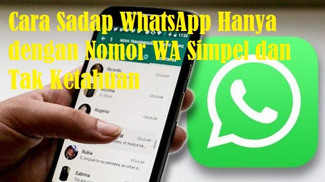 Cara Sadap WhatsApp Hanya dengan Nomor WA Simpel dan Tak Ketahuan Lihat  Detail Chat Pasangan 2023 - Cara1001