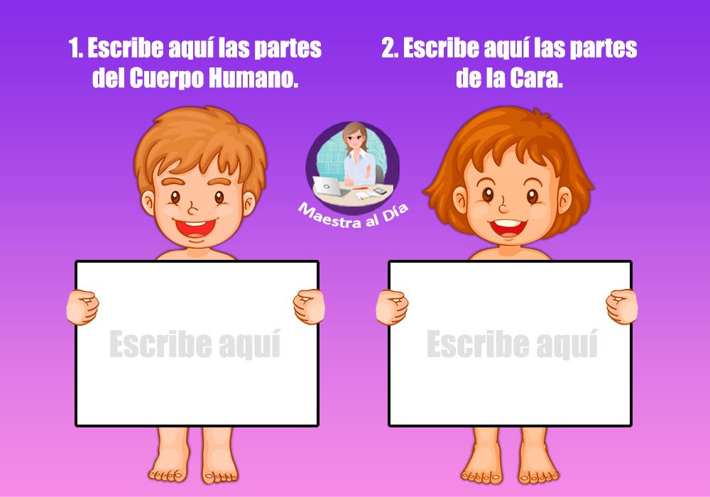 Escribe las partes del Cuerpo Humano.