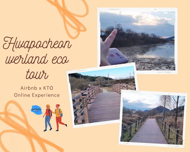Hwapocheon wetland eco tour with Airbnb x KTO Review