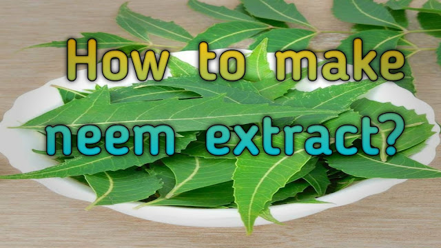 How to make organic free of cost pesticide with the help of garlic and neem?