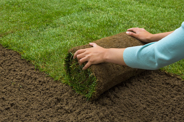 sod installation company in Amherst