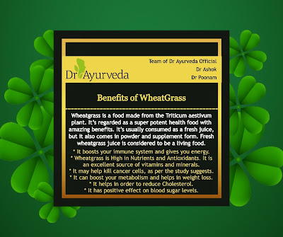 Benefits of WheatGrass by Dr Ayurveda