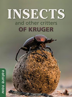 Insects of Kruger by Joan Young