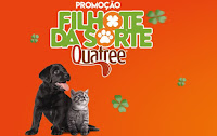 Promoção Filhote da Sorte Quatree Granvita Pet promocao.granvitapet.com.br