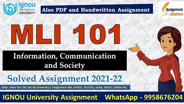 MLI 101 Solved Assignment 2021-22