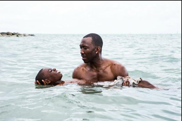 31º MDQ Film FEST: Moonlight