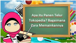 Apa itu Panen Telur Tokopedia