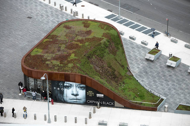 Hostrooster's Barclays Center Experience: The Green Roof Takes Root