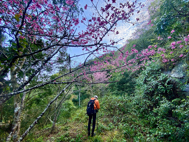 小鬼湖林道