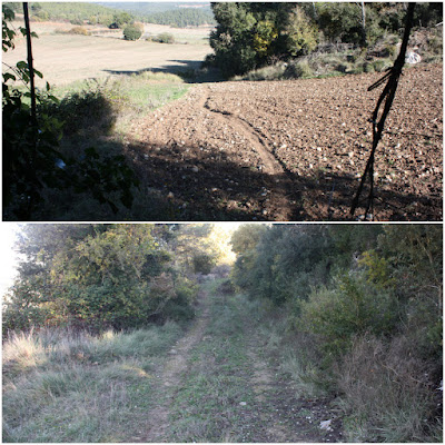 GR-7 Cabra del Camp a Vallespinosa, Camí de Cabra del Camp a Vallespinosa dins del corriol de baixada cap a Les Eres de Vallespinosa