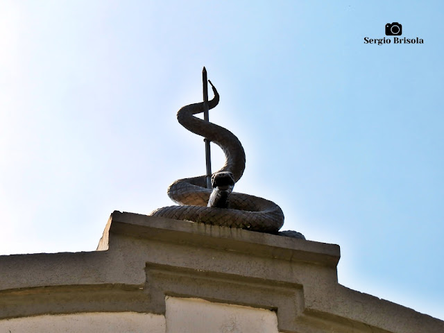 Close-up da escultura do coroamento da entrada principal do Museu Biológico do Butantan