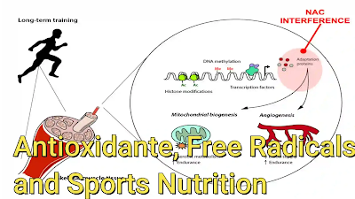 Antioxidante, Free Radicals and Sports Nutrition