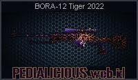 BORA-12 Tiger 2022