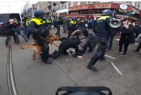 Anti-Lockdown Protesters Mauled by Dogs and Beaten with Batons in Amsterdam