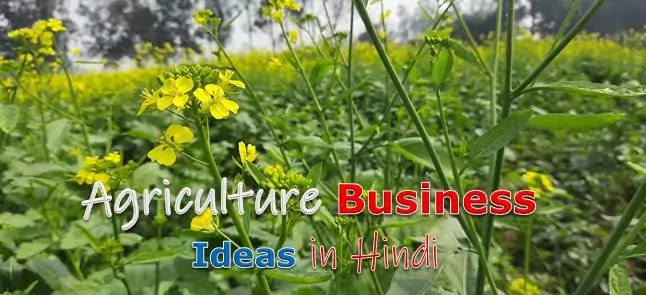 farming business ideas,agri business ideas,money making agriculture business ideas,most profitable agriculture business,small farm business ideas