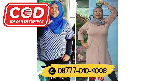 08777 010 4008 HARGA OBAT PELANGSING GREEN WORLDJepara