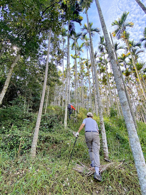 往五城口山