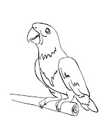 macaw parrot coloring page