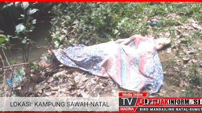 Gempar" Penemuan Mayat Wanita Di Kampung Sawah Natal Mengejutkan Warga