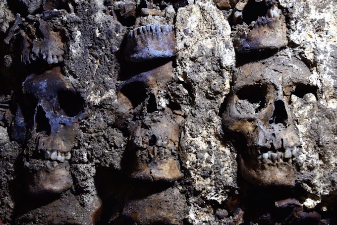 A 500-Year-Old Aztec Tower of Human Skulls Is Even More Terrifyingly Humongous Than Previously Thought, Archaeologists Find   