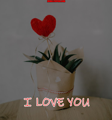 I Love You Images New