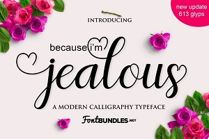 Jealous Script by Font Bundles Store
