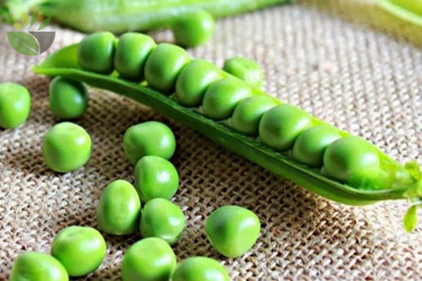 healthy beans - peas
