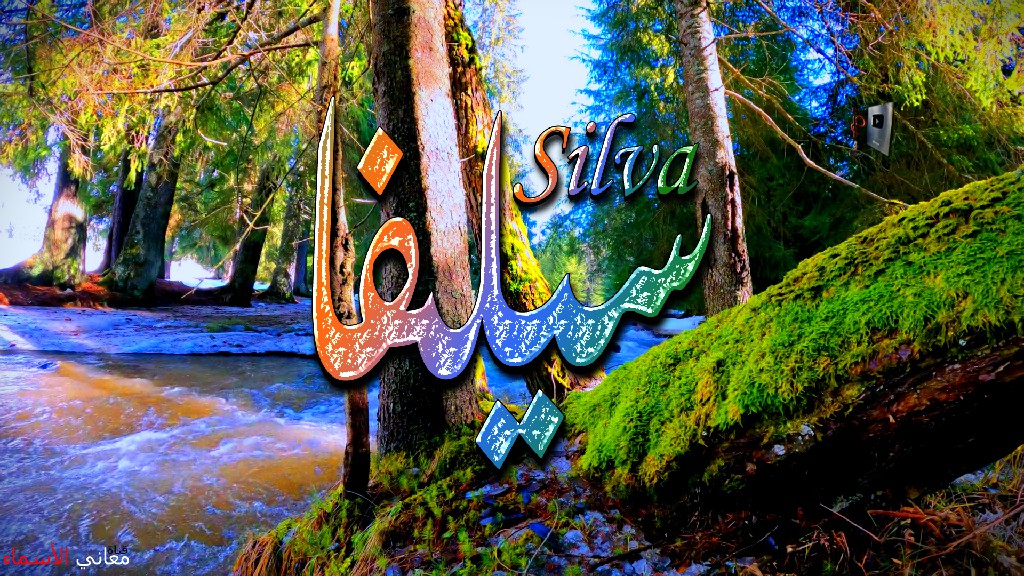 معنى اسم, سيلفا, وصفات, حاملة, و حامل, هذا الاسم Silva,