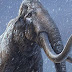 Βρετανία - Εντοπίστηκαν «σχεδόν άθικτα» μαμούθ ηλικίας 220.000 ετών