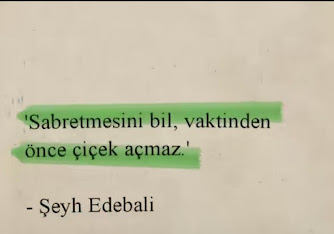 Sabır acıdır ama meyvesi tatlıdır Aristoteles