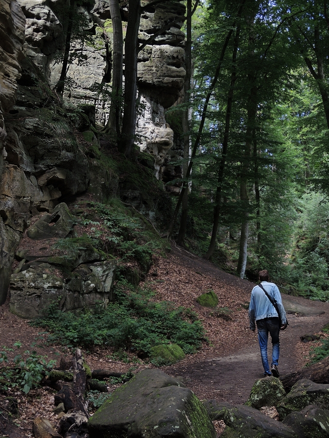 Trier: wandelen door de duivelskloof nabij Echternach