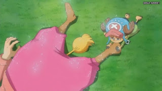 ワンピースアニメ WCI編 783話 チョッパー | ONE PIECE Episode 783