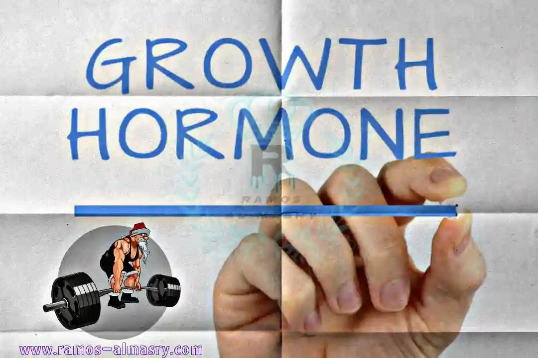 هل يمكن أن تعزز مكملات هرمون النمو نمو العضلات؟ Growth Hormone